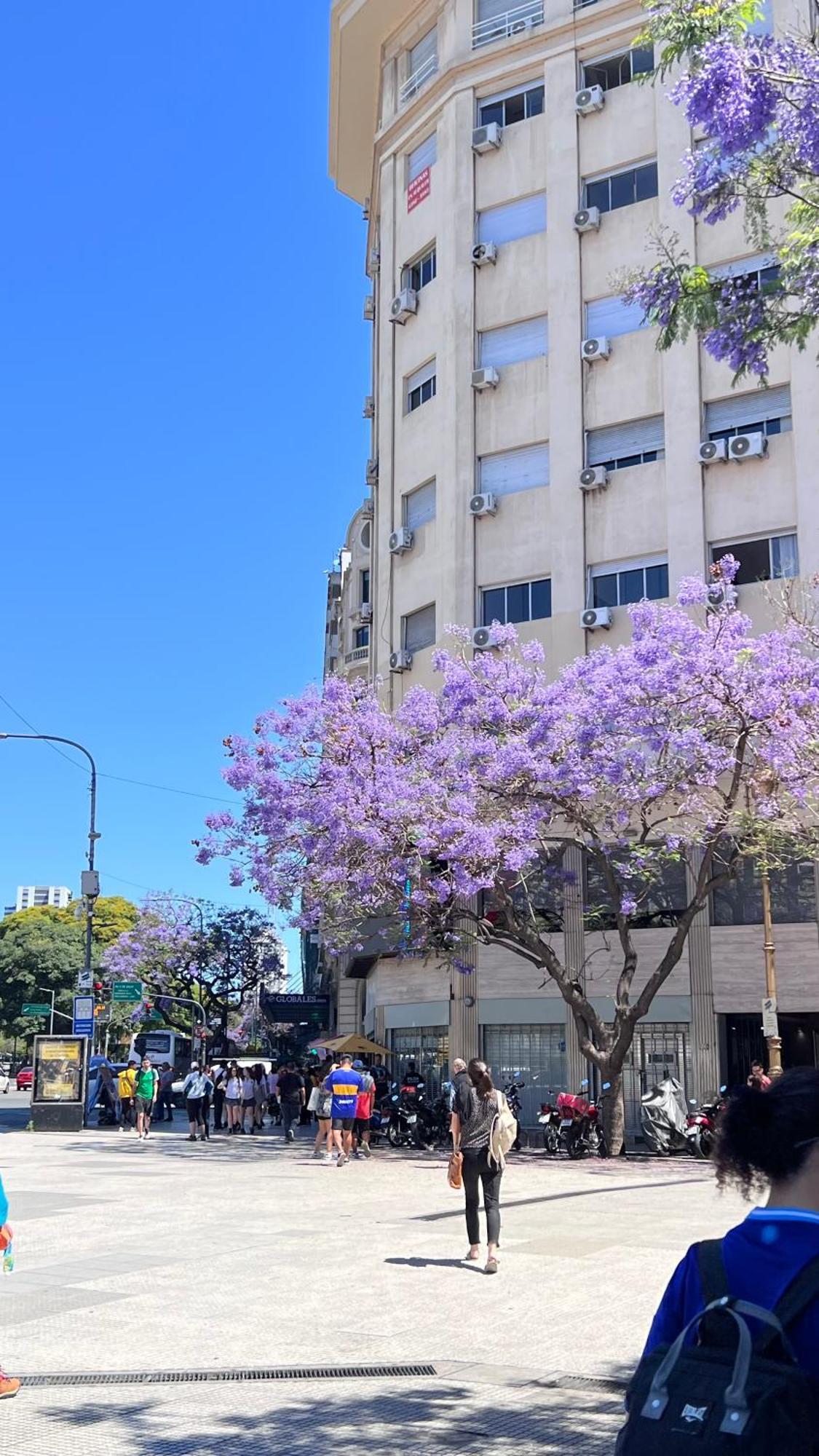 부에노스아이레스 Loft Obelisco 아파트 외부 사진